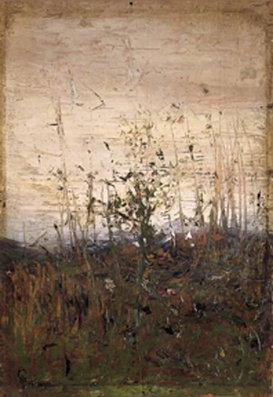 Paesaggio